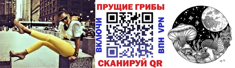 Псилоцибиновые грибы мицелий  Купить где  Сибай 