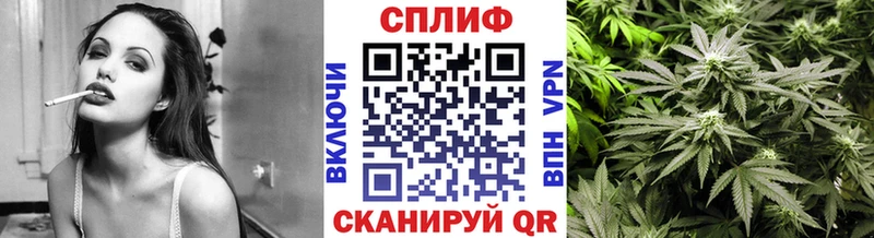 Купить  Сибай  Бошки Шишки White Widow 